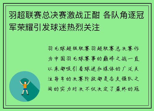 羽超联赛总决赛激战正酣 各队角逐冠军荣耀引发球迷热烈关注